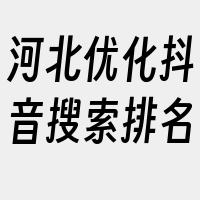 河北优化抖音搜索排名