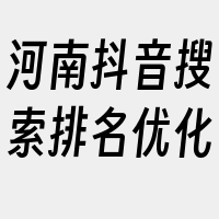 河南抖音搜索排名优化