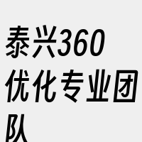 泰兴360优化专业团队