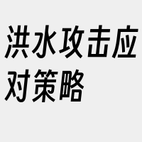 洪水攻击应对策略