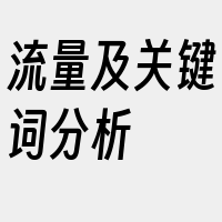 流量及关键词分析