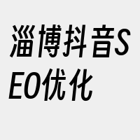 淄博抖音SEO优化