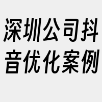 深圳公司抖音优化案例