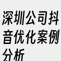 深圳公司抖音优化案例分析