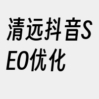 清远抖音SEO优化