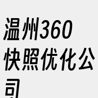 温州360快照优化公司