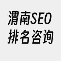 渭南SEO排名咨询