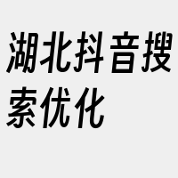 湖北抖音搜索优化