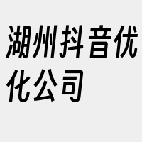 湖州抖音优化公司