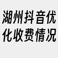 湖州抖音优化收费情况