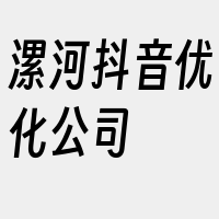 漯河抖音优化公司