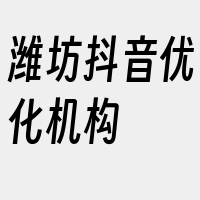 潍坊抖音优化机构