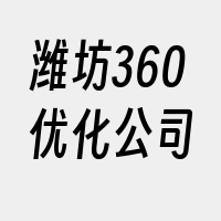 潍坊360优化公司