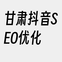 甘肃抖音SEO优化