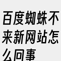 百度蜘蛛不来新网站怎么回事