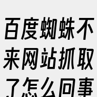 百度蜘蛛不来网站抓取了怎么回事