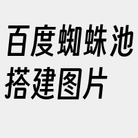 百度蜘蛛池搭建图片