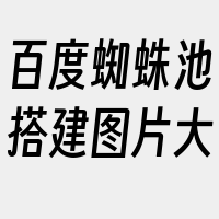 百度蜘蛛池搭建图片大