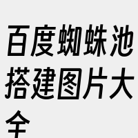 百度蜘蛛池搭建图片大全