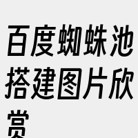 百度蜘蛛池搭建图片欣赏