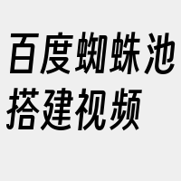 百度蜘蛛池搭建视频