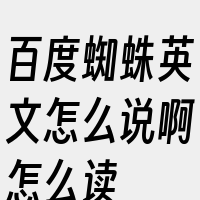 百度蜘蛛英文怎么说啊怎么读