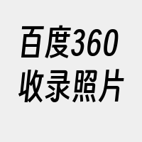 百度360收录照片