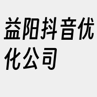 益阳抖音优化公司