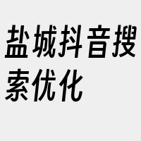 盐城抖音搜索优化