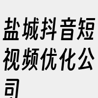 盐城抖音短视频优化公司