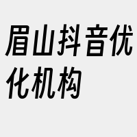 眉山抖音优化机构