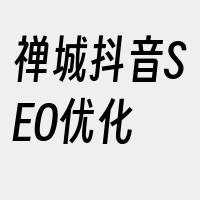 禅城抖音SEO优化