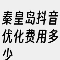 秦皇岛抖音优化费用多少