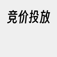 竞价投放