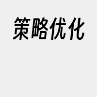 策略优化