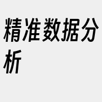 精准数据分析