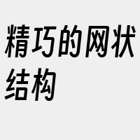 精巧的网状结构