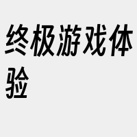 终极游戏体验