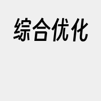 综合优化