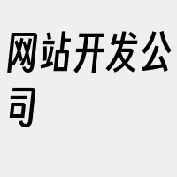 网站开发公司