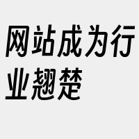 网站成为行业翘楚