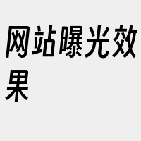 网站曝光效果