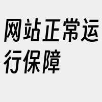 网站正常运行保障