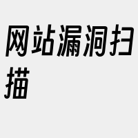 网站漏洞扫描