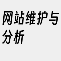 网站维护与分析