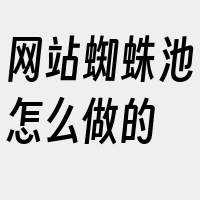 网站蜘蛛池怎么做的