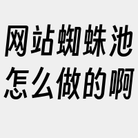 网站蜘蛛池怎么做的啊