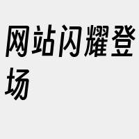 网站闪耀登场