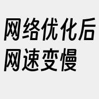 网络优化后网速变慢