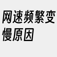 网速频繁变慢原因